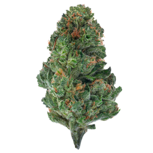 GG4 (Hybrid)