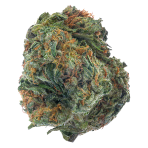 Sherbert (Hybrid)