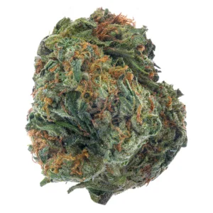 Sherbert (Hybrid)