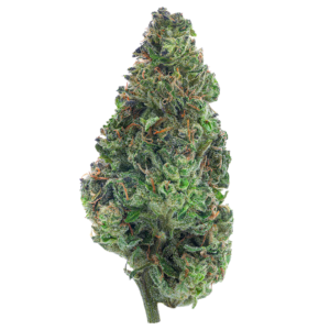 Green Crack (Sativa)