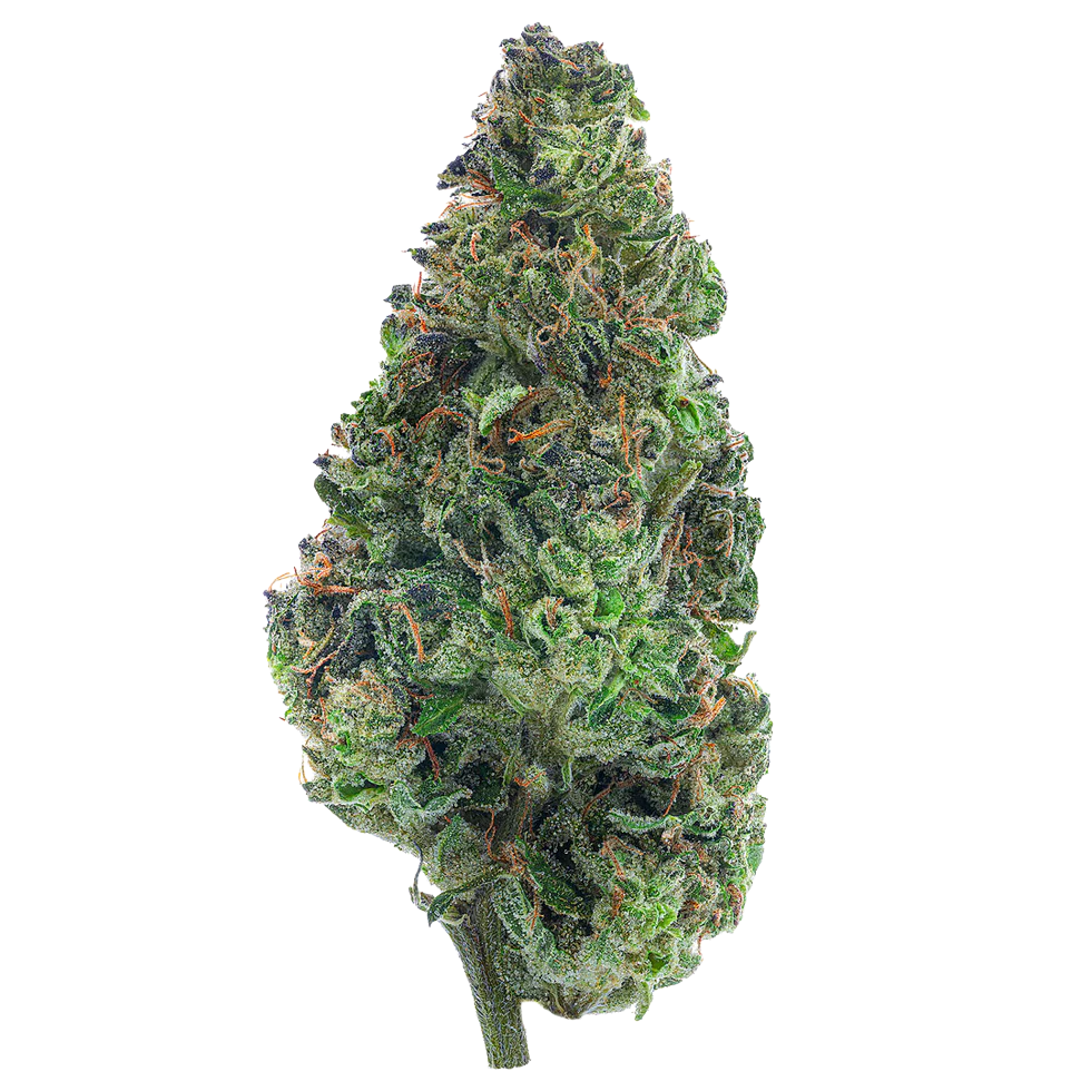Green Crack (Sativa)