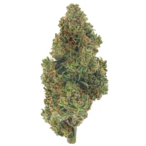 Super Silver Haze (Sativa)