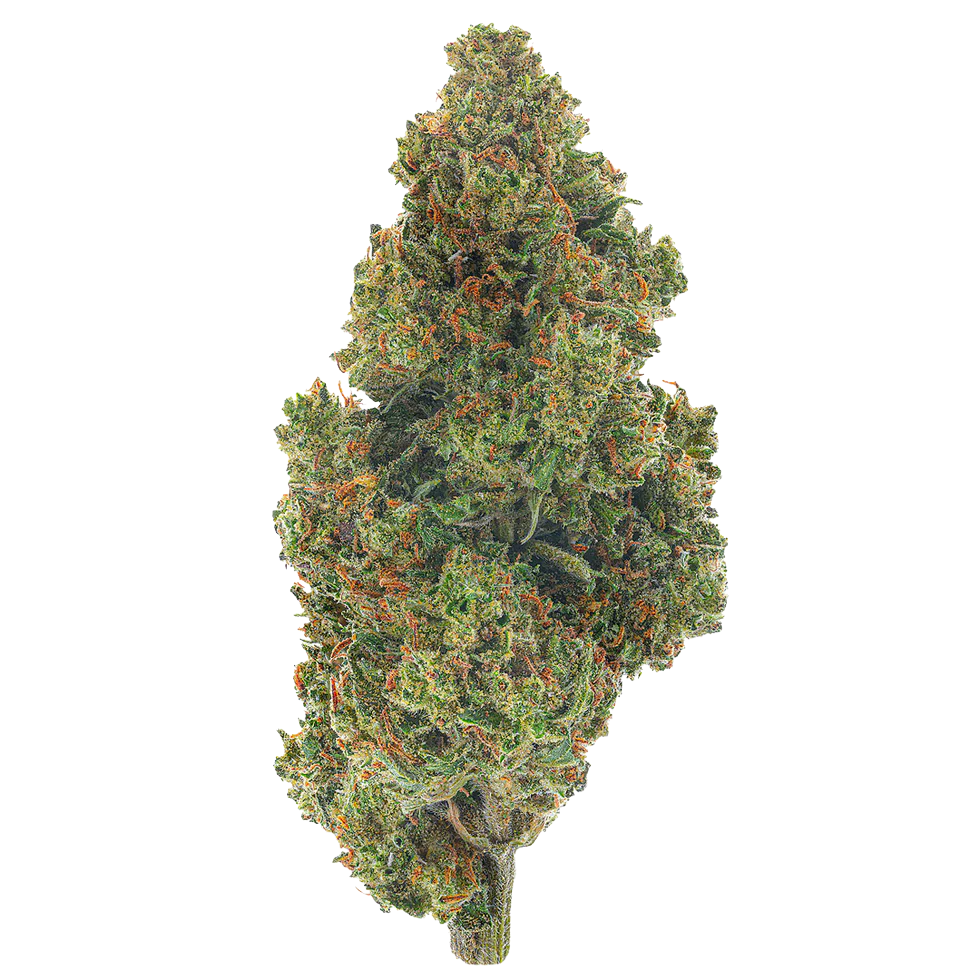 Super Silver Haze (Sativa)
