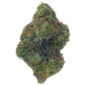 Dosidos (Hybrid)
