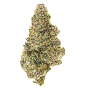 Black Cherry Gelato (Hybrid)