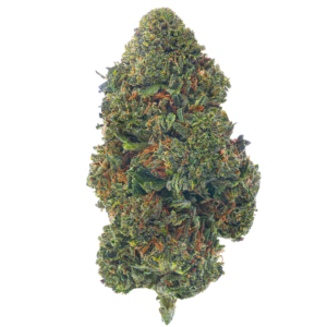 Purple Kush (Indica)
