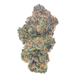 Oreoz (Hybrid)